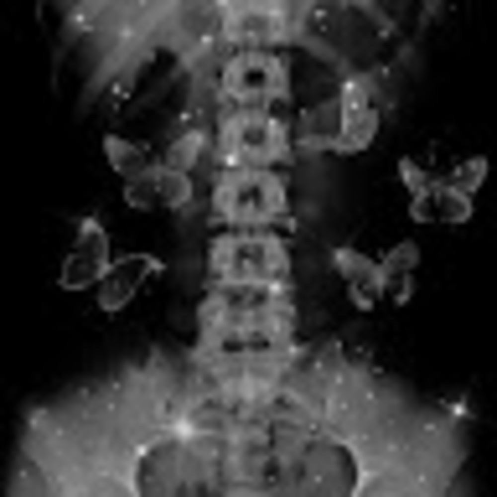 Meet your Posher, Kuromi